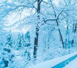 Санаторий «Автомобилист», фото 27