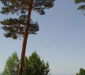 Санаторий «Русский бор», фото 53