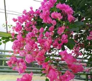 Санаторий «Орбита-2», фото 36