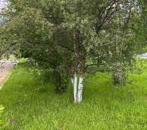 Санаторий «Усть-Кут», фото 35