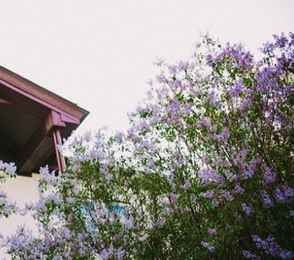 Санаторий «Усолье», фото 3