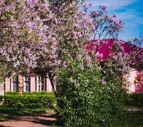 Санаторий «Усолье», фото 5