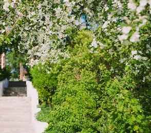 Санаторий «Усолье», фото 7