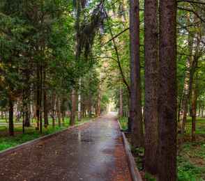 Курорт «Новая Истра», фото 31