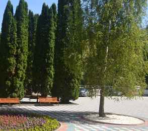 Санаторий «Родник», фото 35