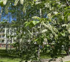 Санаторий-профилакторий «Камские зори», фото 24