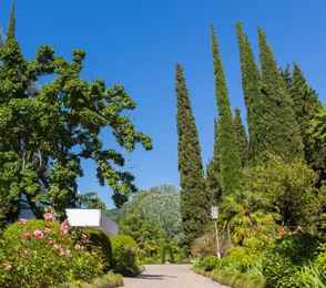 Санаторий «Знание», фото 45