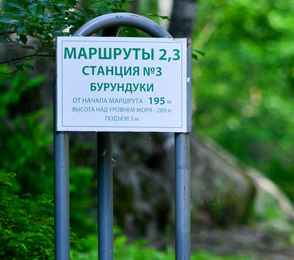 Санаторий «Белокуриха», фото 11