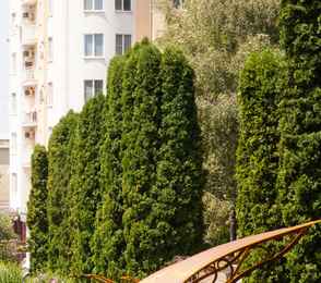 Санаторий для детей с родителями «Смена»