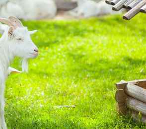 Санаторий «Ува», фото 15