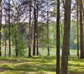 Санаторий «Рассвет», фото 10
