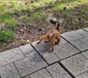 Санаторий «Рассвет», фото 56