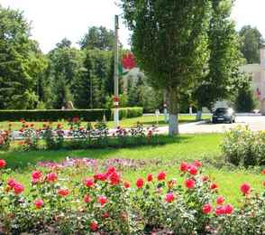 Санаторий имени Цюрупы, фото 10