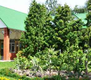 Санаторий имени Цюрупы, фото 13