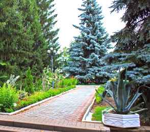 Санаторий имени Цюрупы, фото 8