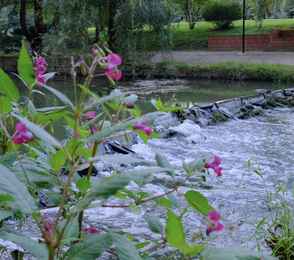 Кардиологический санаторий «Переделкино», фото 58