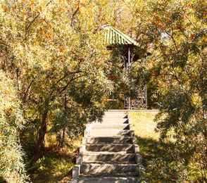 Санаторий «Сосновый бор», фото 42