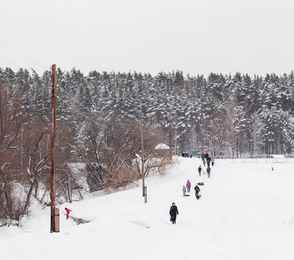 Санаторий «Сосновый бор», фото 81