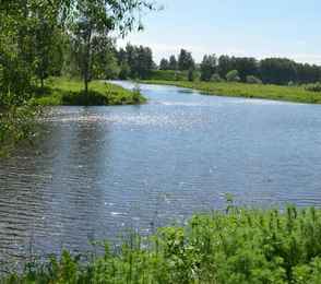 Парк-отель «Диево-Городище», фото 22