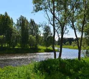 Парк-отель «Диево-Городище», фото 23