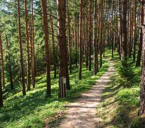 Санаторий «Катунь», фото 35