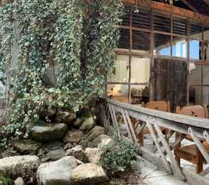 Санаторий «Самшитовая роща», фото 15