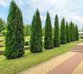 Комплекс отдыха «Бекасово», фото 9