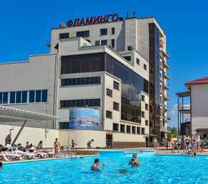 Пансионат с лечением «Фламинго»