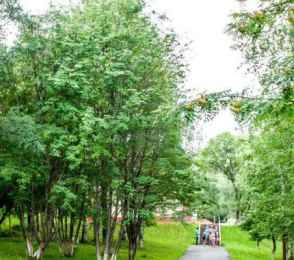 Санаторий «Шахтер», фото 38