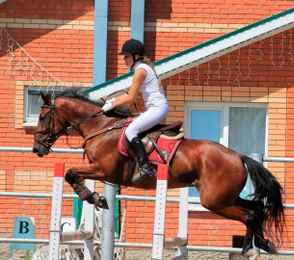 Санаторий им. В.И. Ленина, фото 43