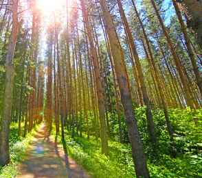 Санаторий «Красноусольск», фото 46