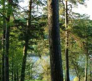 Санаторий-курорт «Егнышевка», фото 34