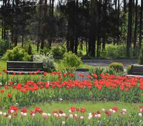 Санаторий «Виктория», фото 13