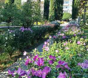 Санаторий «Архипо-Осиповка», фото 7