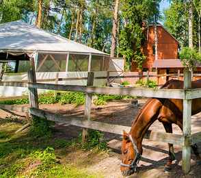 Загородный отель «Атлас Парк Отель», фото 5