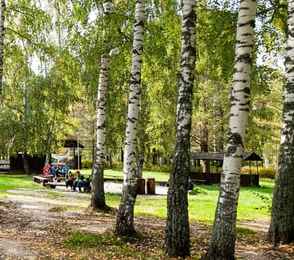 Санаторий «Лунево на Волге», фото 32