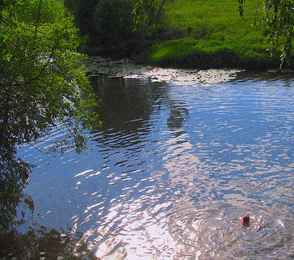 Парк-отель «VE art resort», фото 10