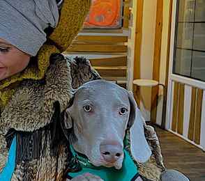 Парк-отель «VE art resort», фото 47