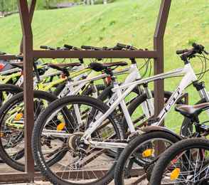 Cosmos Collection Altay Resort, фото 46