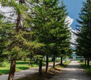 Санаторий «Саяны», фото 3