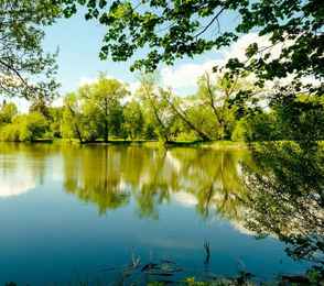 Парк-отель «Ершово», фото 2