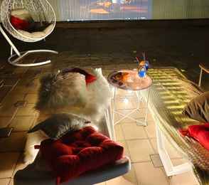 Отель «Эргес», фото 40