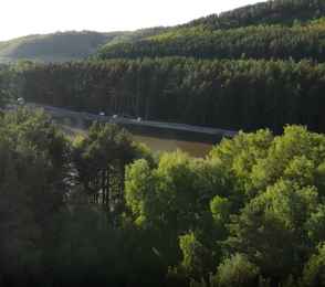 Санаторий «Ромашкино», фото 16