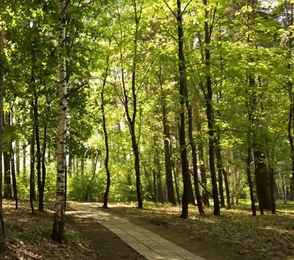 Санаторий «Ромашкино», фото 17