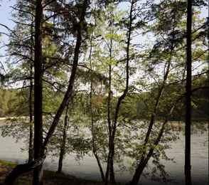 Санаторий «Ромашкино», фото 31