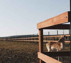 Riviera Wellness Resort, фото 34