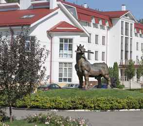 ЯР Hotel&SP, фото 21