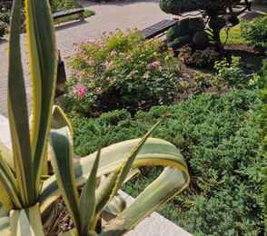 Пансионат «Анапа Лазурная», фото 13