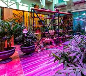 Спа-отель Luciano Hotel & SPA, фото 19