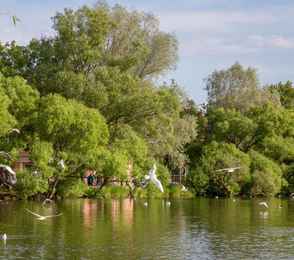 Отель «Новый Петергоф», фото 19